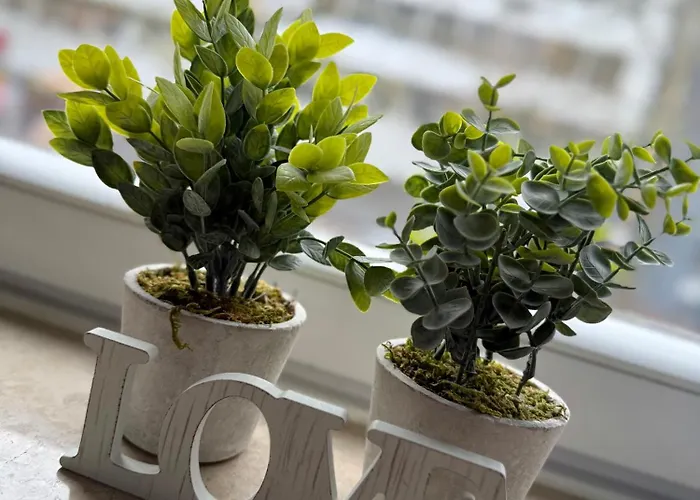 Apartmenthaus Suedstadt * Hannover